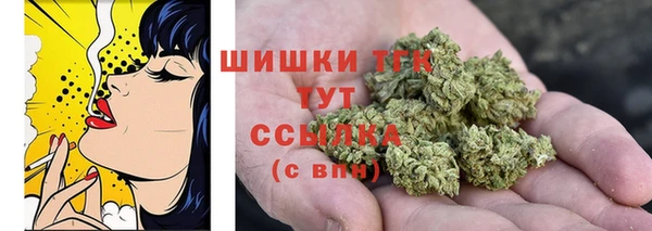 индика Медвежьегорск