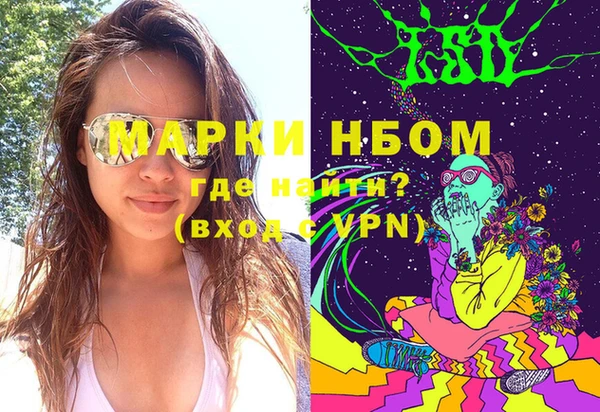 шишки Медногорск
