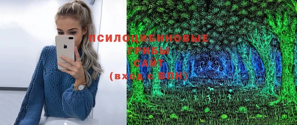 индика Медвежьегорск