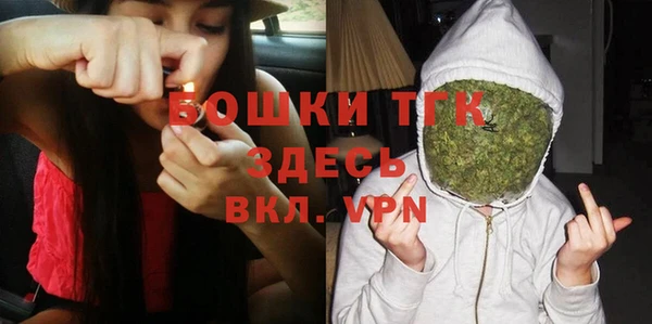 шишки Медногорск