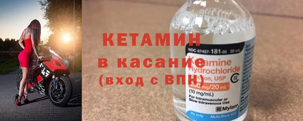 индика Медвежьегорск