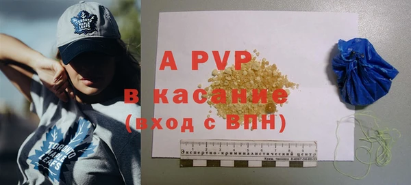 индика Мегион
