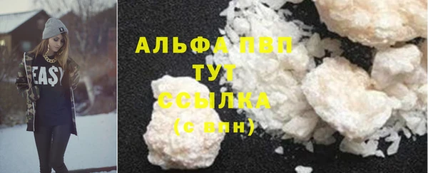 индика Медвежьегорск