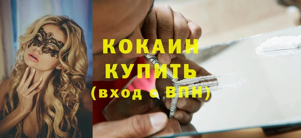 шишки Медногорск