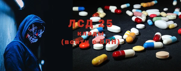 индика Медвежьегорск