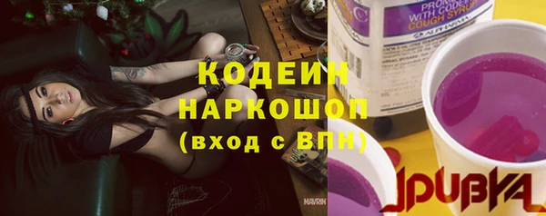 индика Медвежьегорск