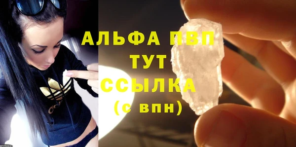 индика Мегион