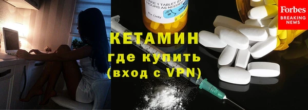индика Медвежьегорск