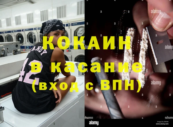 индика Медвежьегорск