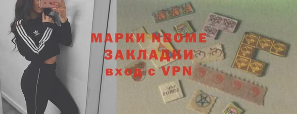 индика Медвежьегорск