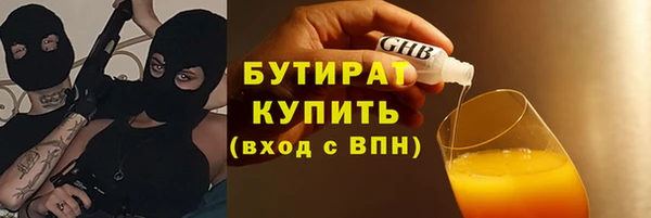 индика Медвежьегорск
