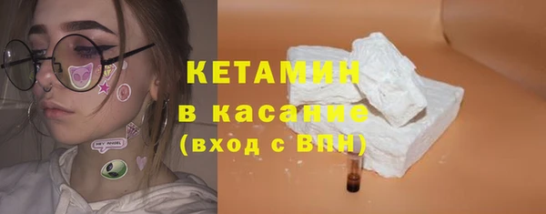 индика Мегион