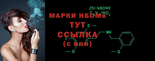 индика Мегион