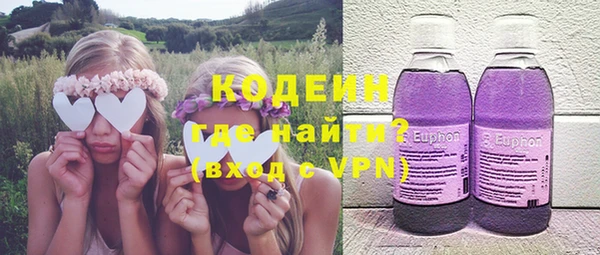 индика Медвежьегорск