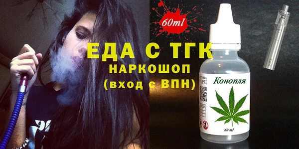 индика Мегион