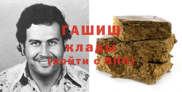 индика Мегион