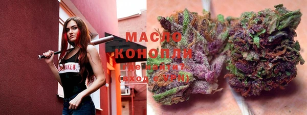 индика Мегион