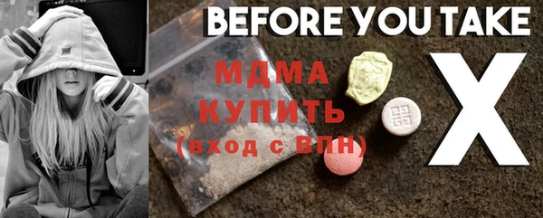 индика Медвежьегорск