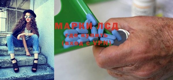 индика Медвежьегорск