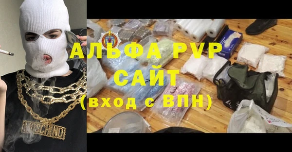 индика Медвежьегорск