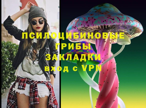 шишки Медногорск