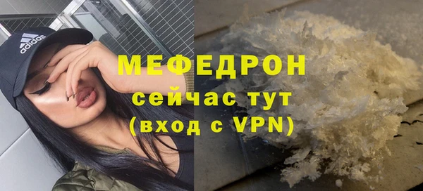 индика Медвежьегорск