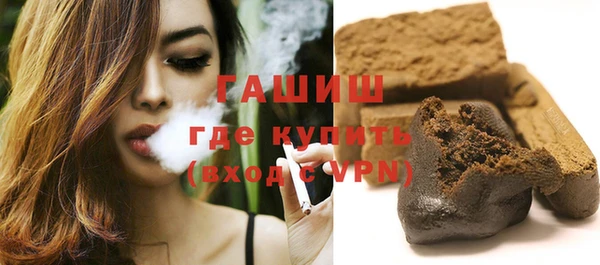 индика Медвежьегорск