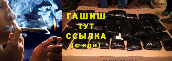 индика Медвежьегорск