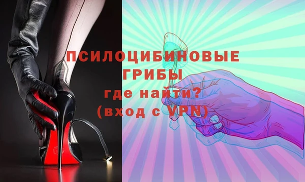 индика Мегион