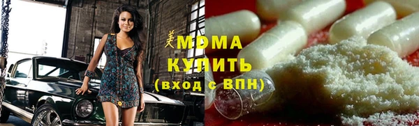 индика Мегион