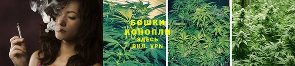 индика Мегион
