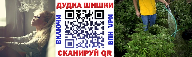 Купить где  Облучье  МАРИХУАНА ГИДРОПОН 